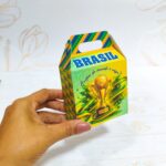 Arquivo Copa do Mundo Maletinha